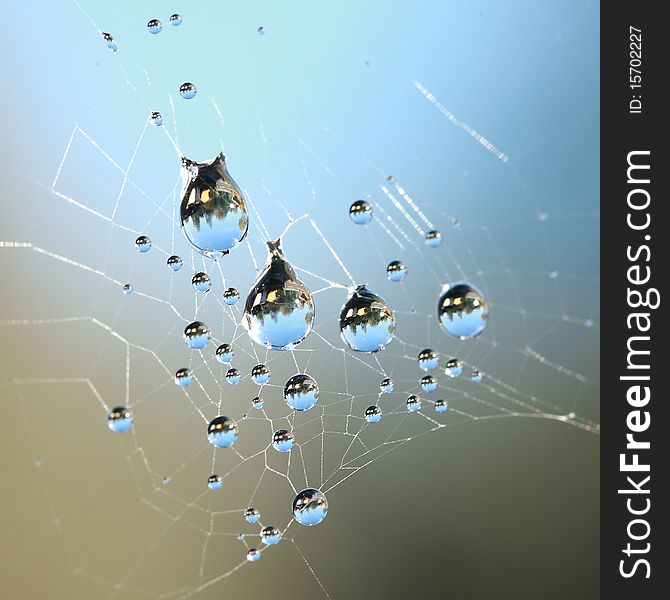 Some droplets of dew cought in a spiders web. Some droplets of dew cought in a spiders web.