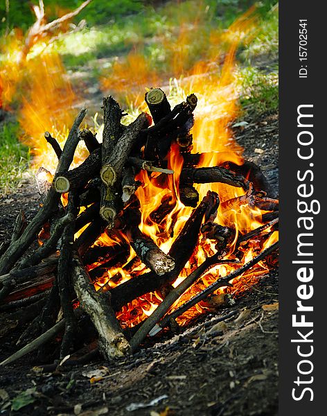 Scenic burning woods in yellow fire outdoor. Scenic burning woods in yellow fire outdoor