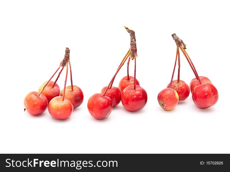 Small apples on white background