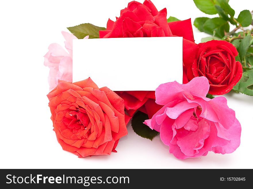 Roses With Card