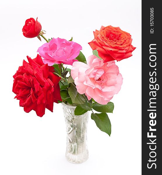 Bouquet of beautiful roses on white