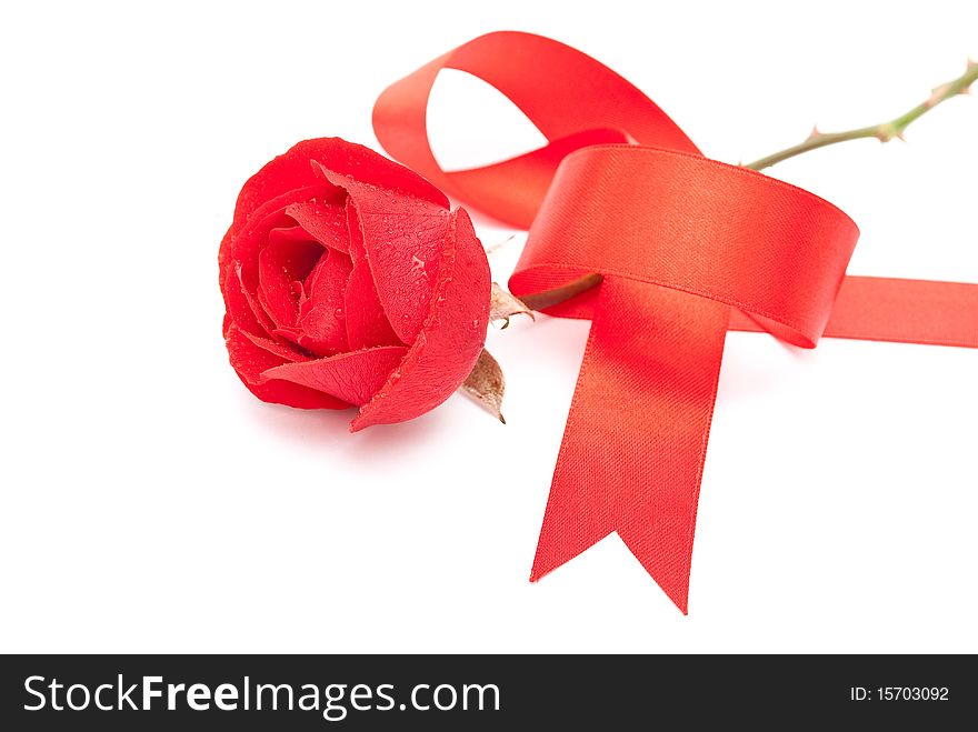 Red rose with red ribbon