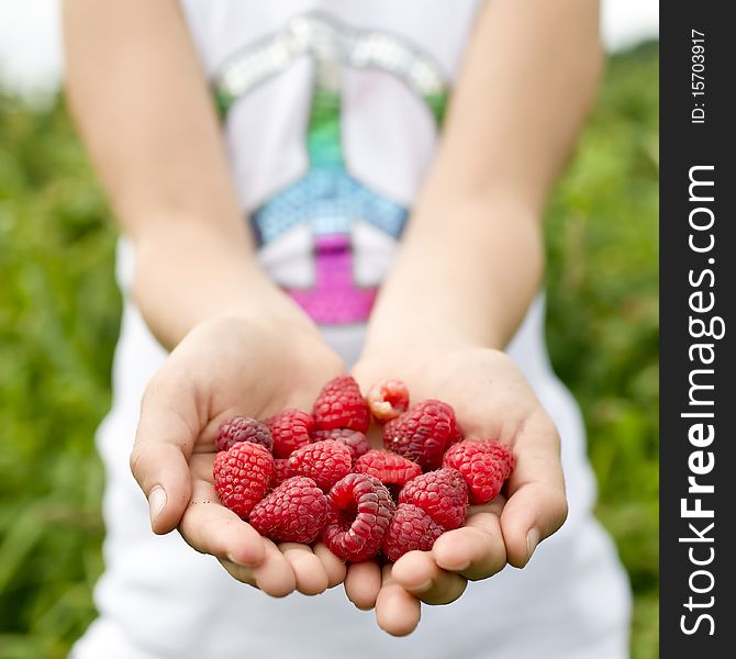 Girl holding fresh, delicious raspberries