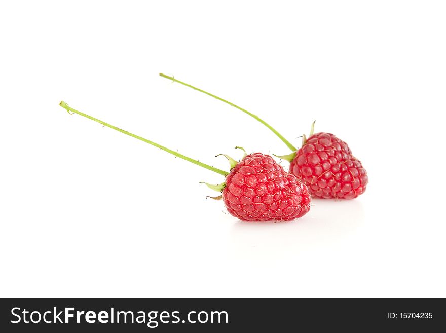 Two raspberries isolated on white