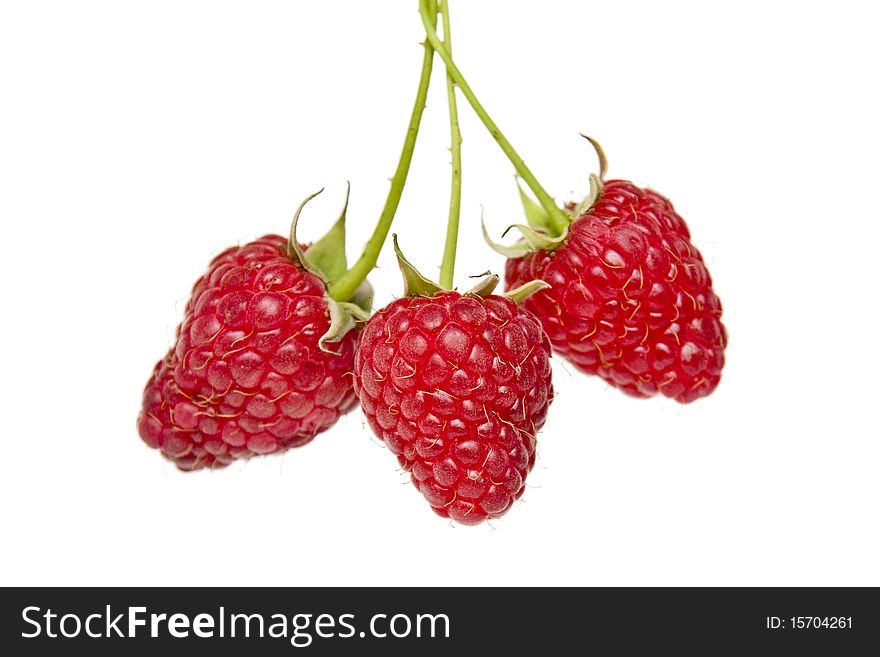 Three raspberries isolated on white