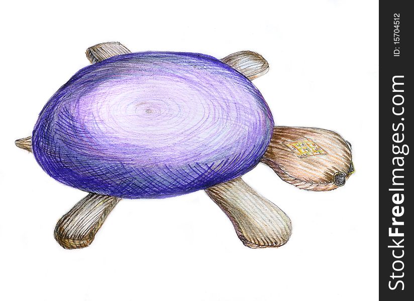 Toy tortoise, picture by a pencil