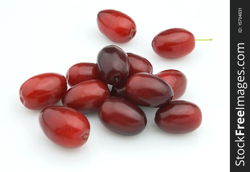 Cornel berries on a white background