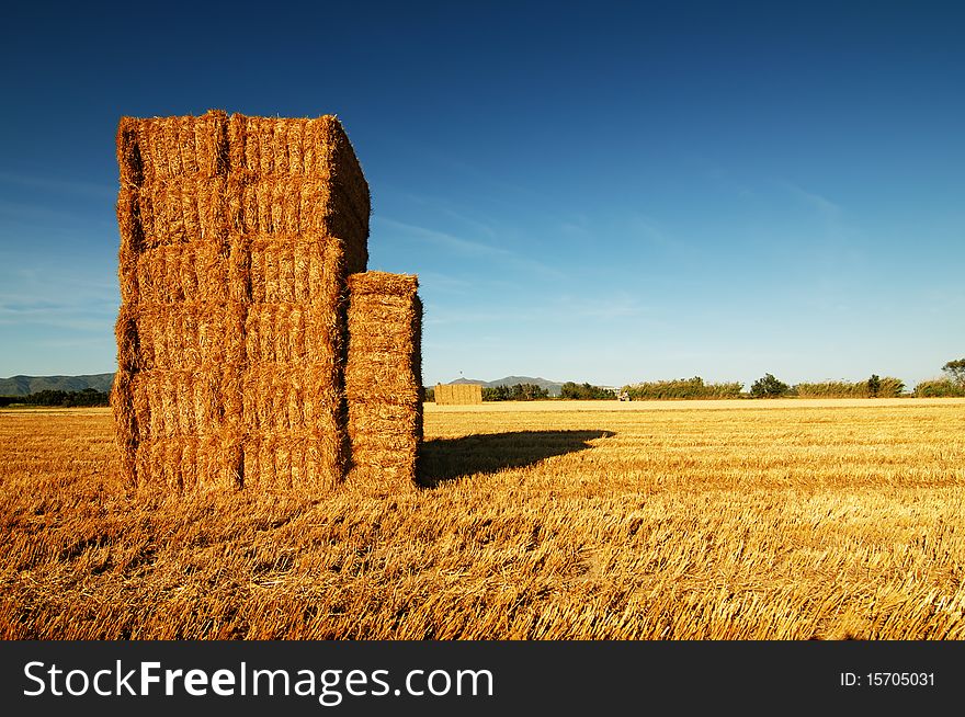 Stacks of hay under a deep blue sky.