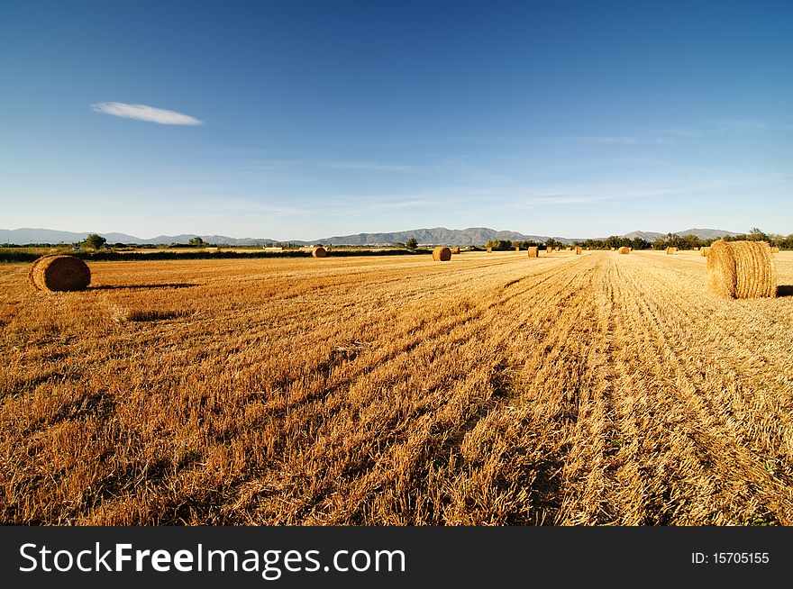 Field after harvest against mountains.Spain, Catalonia ,Costa brava.