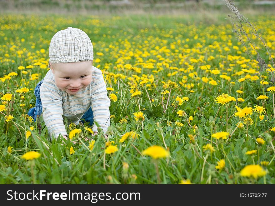 Little child summer meadow dandelion