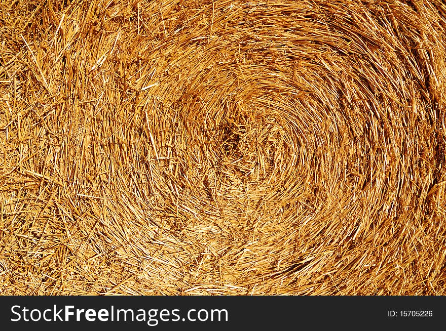 Roll Of Hay Close Up