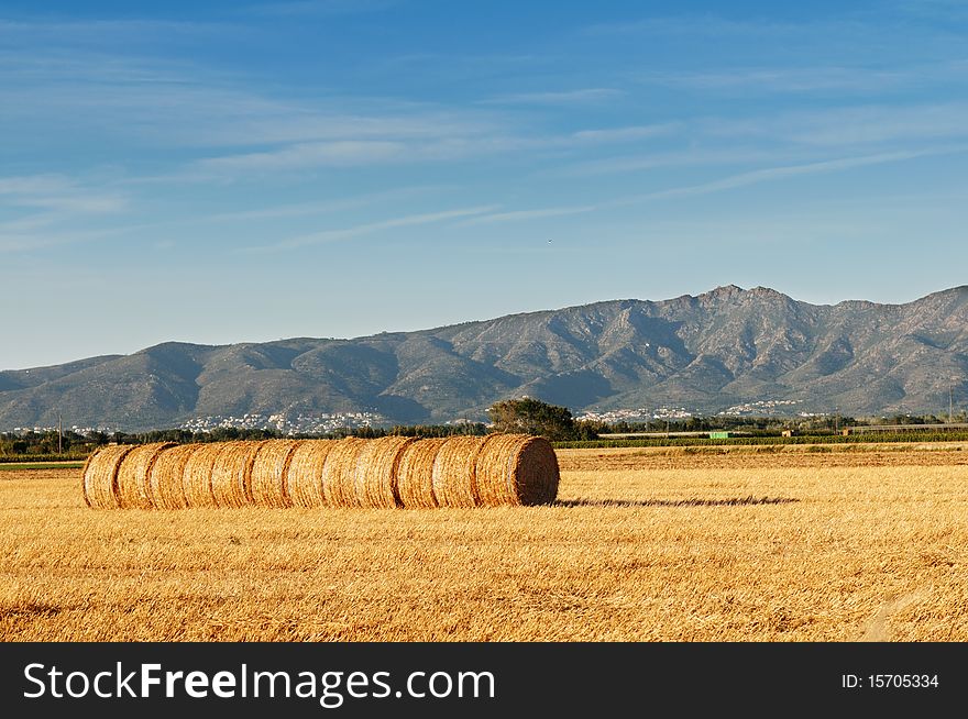 Rolls of hay against mountains.