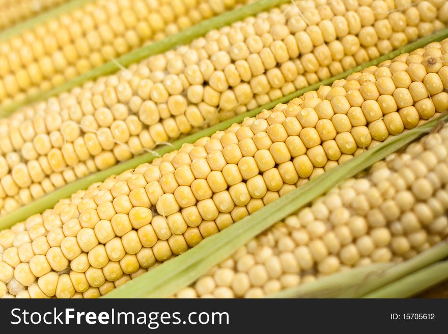 Raw corn on the cob as a background