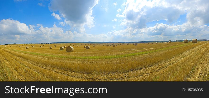 Big field and blue sky in Poland