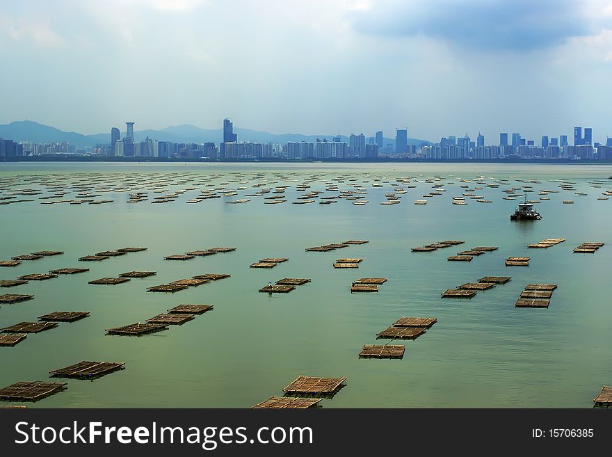 Victoria Harbor