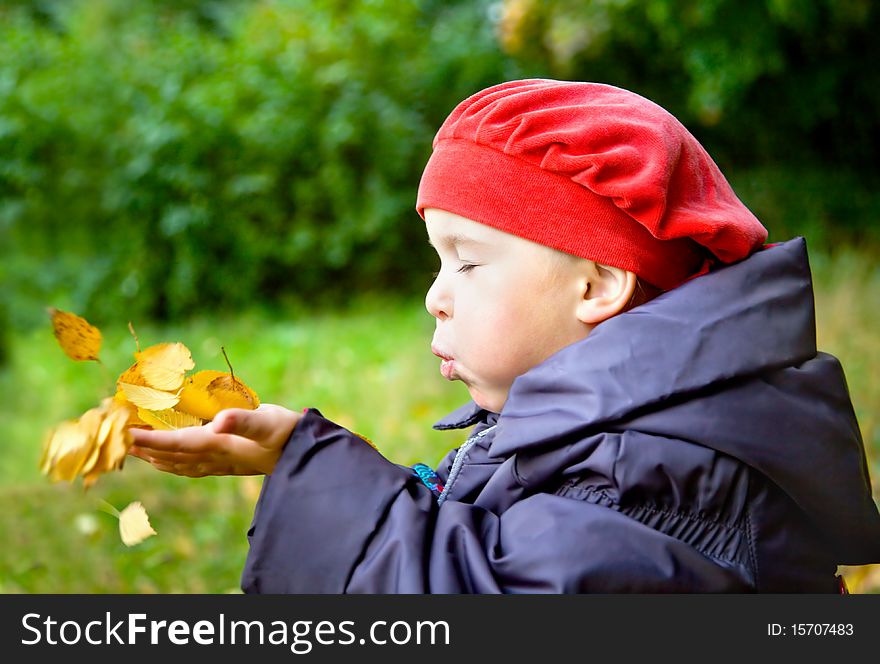 Little girl blowing on autumn leaves in her palms