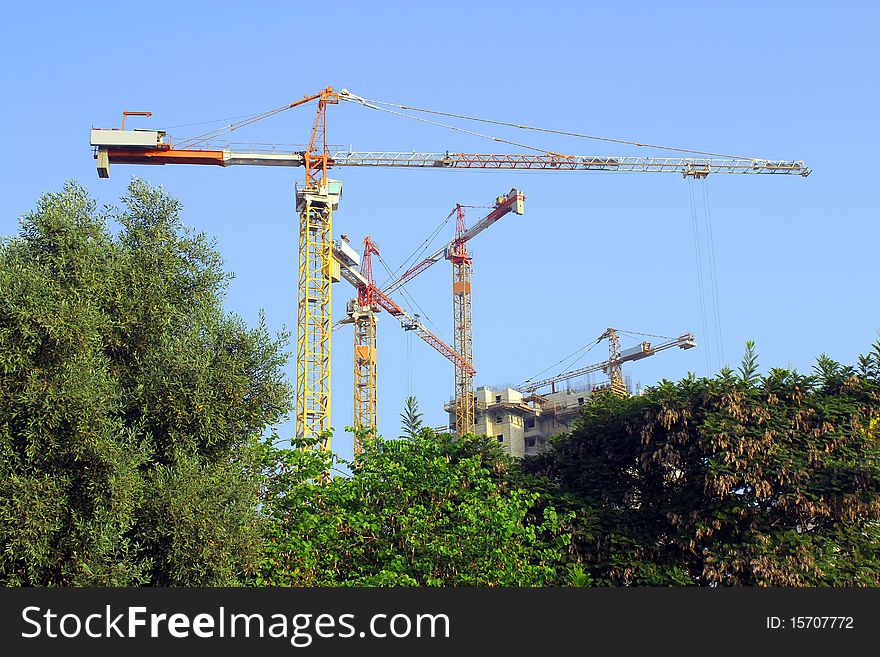 Cranes against a background of blue sky and trees