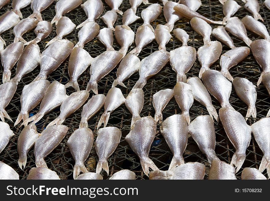 Dried fish on the market in Thailand