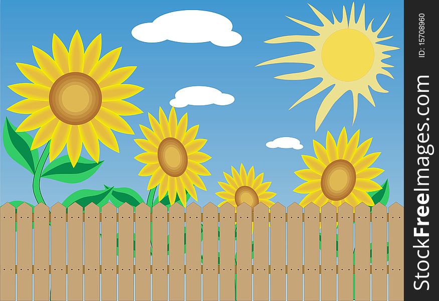 Sunflowers, the sun and sky with clouds are shown in the picture. Sunflowers, the sun and sky with clouds are shown in the picture.