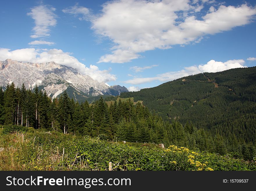 Landscape about Maria Alm in the Alps. Landscape about Maria Alm in the Alps.