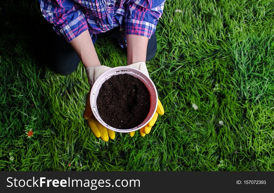 Soil in woman hands, plastic flower pot on grass background