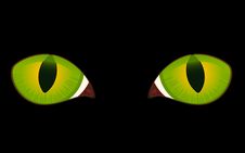Image Of Cat Eyes Stock Photo