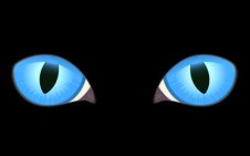 Image Of Cat Eyes Stock Image