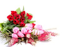 Colourfully Pink And Red Tulips Royalty Free Stock Image Colourfully Pink And Red Tulips Royalty Free Stock Image