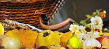 Fall Arrangement Royalty Free Stock Photos Fall Arrangement Royalty Free Stock Photos