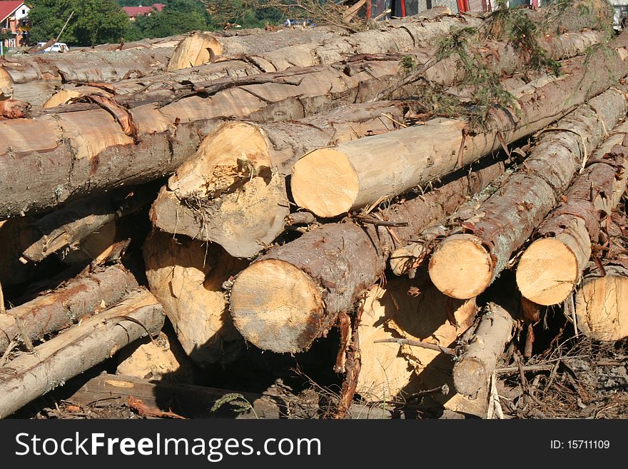 Pile of wooden logs