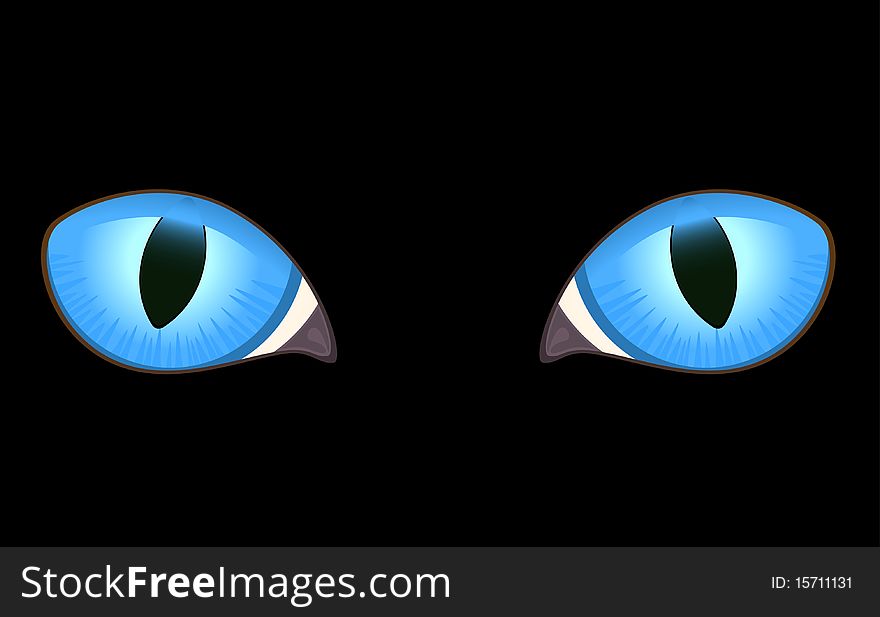 Image of cat eyes in darkness for a design