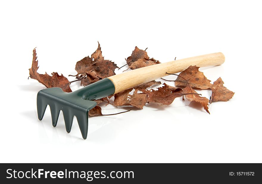 A garden rake with dried leaves isolated over white. A garden rake with dried leaves isolated over white