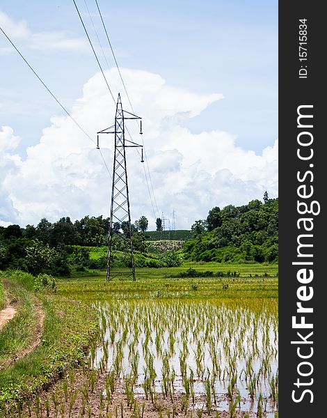 Electrical net of poles on a panorama of blue sky and green meadow. Electrical net of poles on a panorama of blue sky and green meadow