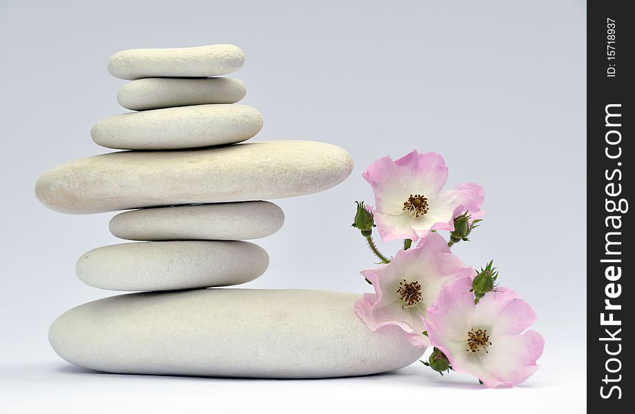 Pile of smooth stones with delicate red flower. Pile of smooth stones with delicate red flower