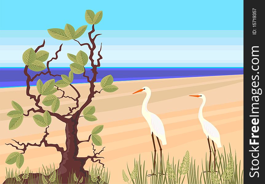 Postcard with the image of a pair of egrets. Postcard with the image of a pair of egrets