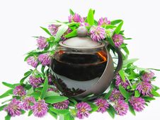 Floral Clover Tea In Teapot Royalty Free Stock Photos Floral Clover Tea In Teapot Royalty Free Stock Photos