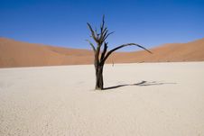 Dead Vlei, Namibia Stock Photo Dead Vlei, Namibia Stock Photo