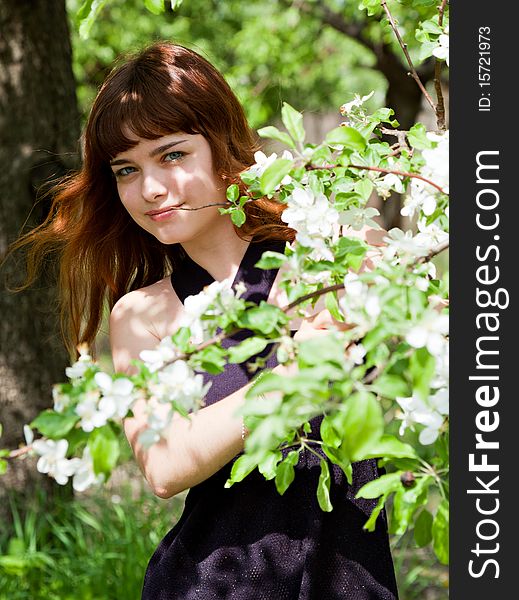 Beautiful girl in blossom apple orchard. Beautiful girl in blossom apple orchard