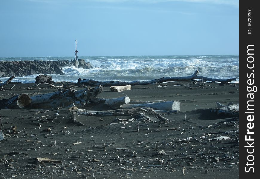 A windy day on a west coast, volcanic New Zealand beach, where the dead timber collects. A windy day on a west coast, volcanic New Zealand beach, where the dead timber collects