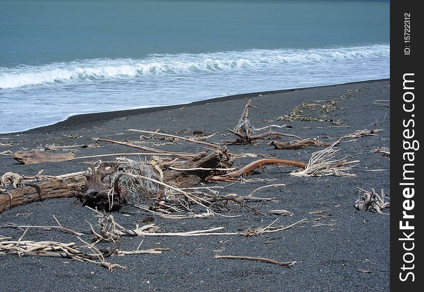 A windy day on a west coast, volcanic New Zealand beach, where the dead timber collects. A windy day on a west coast, volcanic New Zealand beach, where the dead timber collects