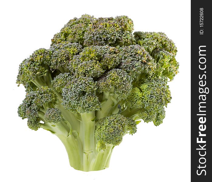 Broccoli is isolated on a white background. Broccoli is isolated on a white background
