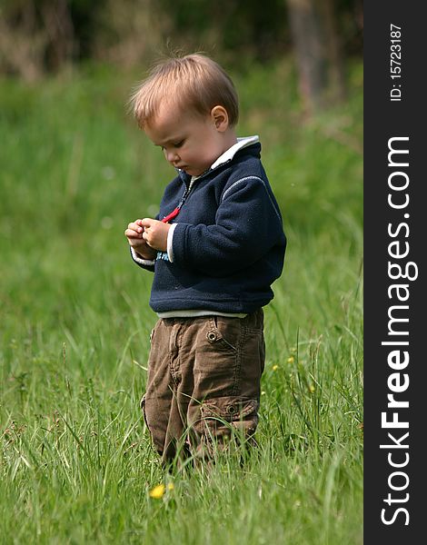 Little boy standing in the grass looking at something in his hands. Little boy standing in the grass looking at something in his hands