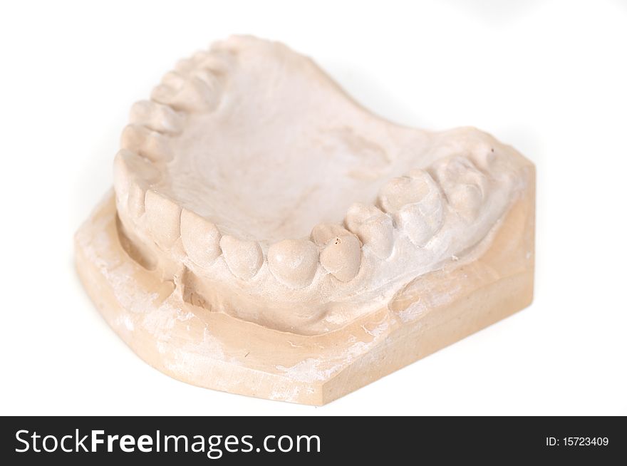 Gypsum teeth model isolated on white