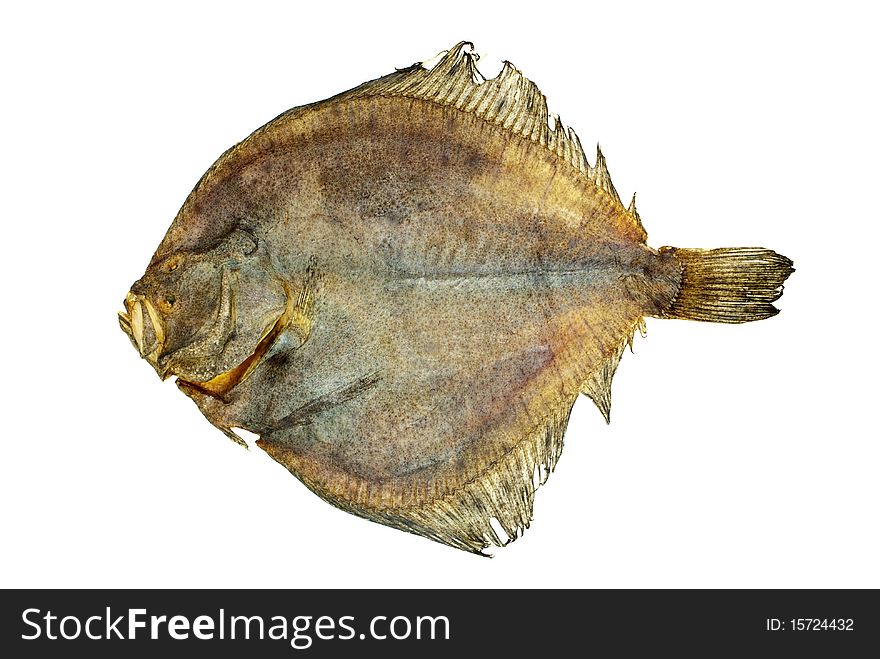 Salted Turbot Flatfish
