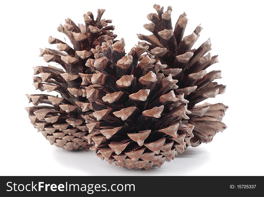 Pinecones Christmas decorations over white