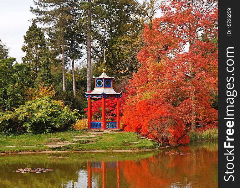 Spectacular colored Maples in a Japanes style garden with pond and pagoda shaped arbour. Spectacular colored Maples in a Japanes style garden with pond and pagoda shaped arbour