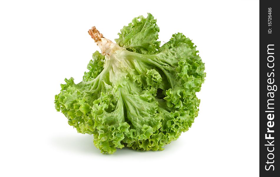 Fresh green lettuce isolated on a white background. Fresh green lettuce isolated on a white background