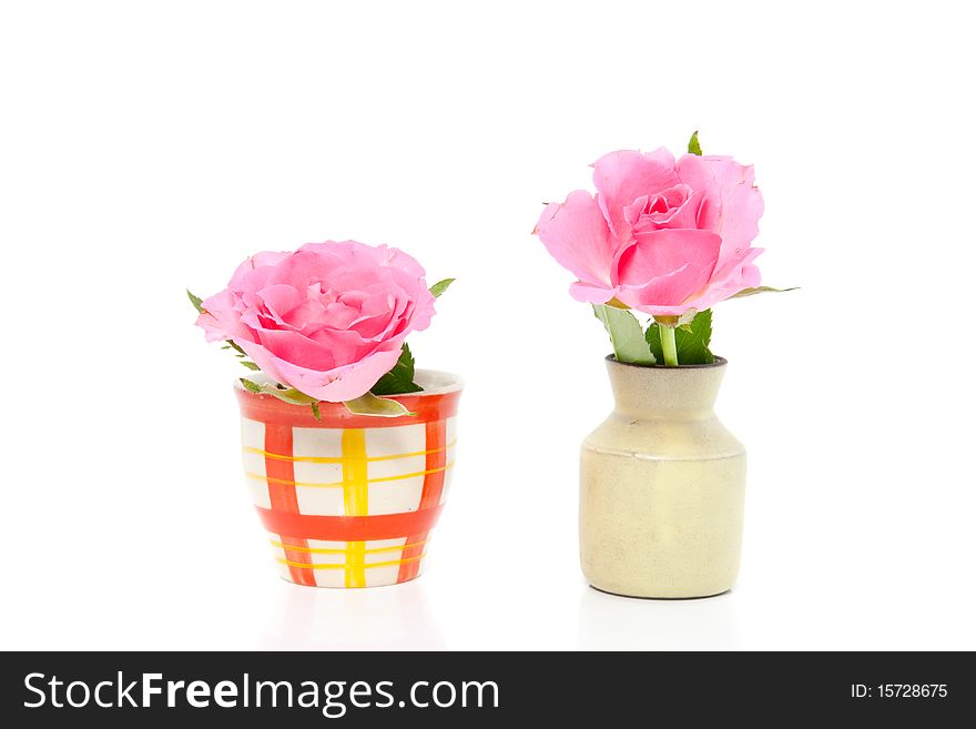 Two colorful little vases with pink roses isolated over white background