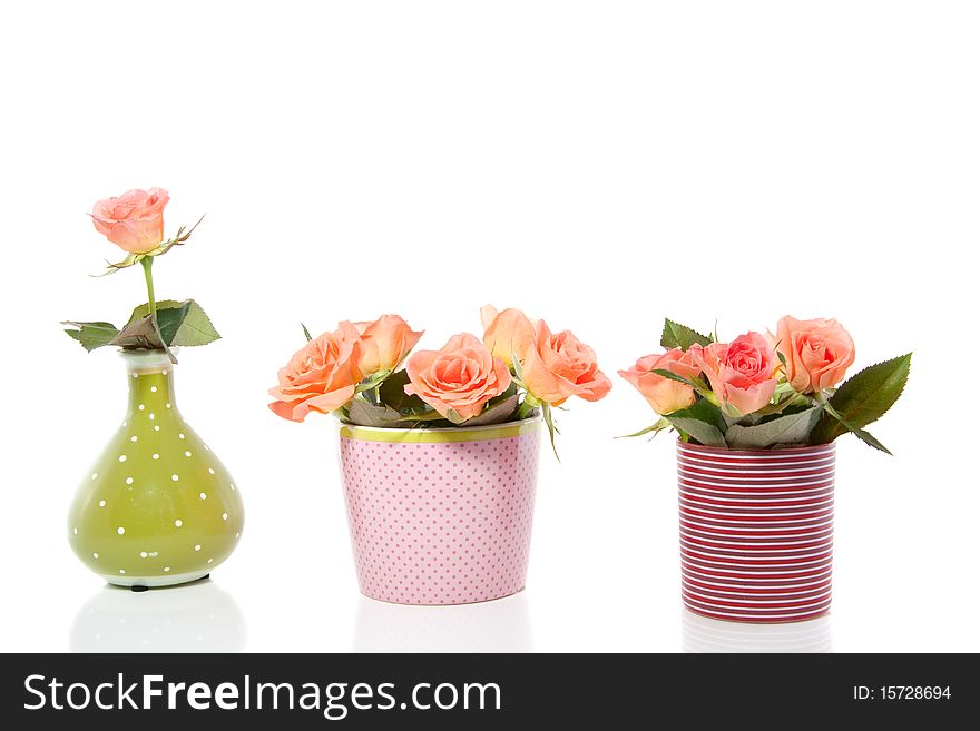 Orange roses in three little colorful vases isolated on white background