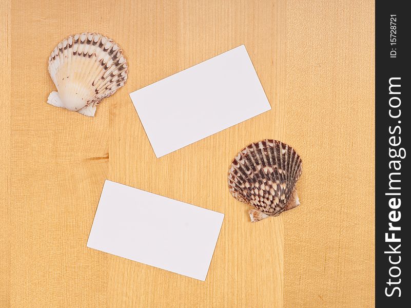 Two Blank Business Cards With Shells